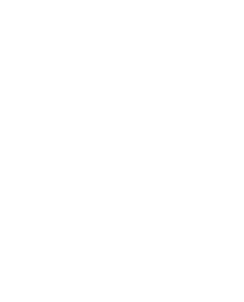 BG´s Holster